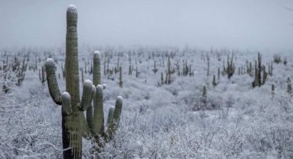 Clima en Sonora: Conagua alerta por lluvias y caída de nieve hoy viernes 17 de febrero