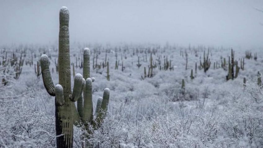 Clima en Sonora: Conagua alerta por lluvias y caída de nieve hoy viernes 17 de febrero