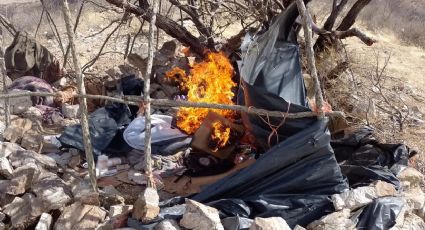 Golpe al narco en Sonora: GN y Ejército desmantelan campamentos clandestinos; capturan a 2