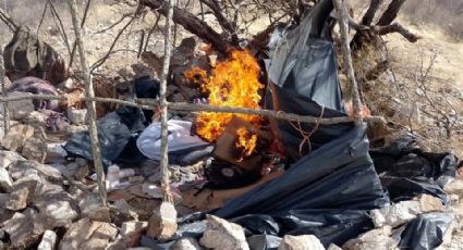 Destruyen en Sonora 11 campamentos del crimen organizado; hay dos hombres detenidos