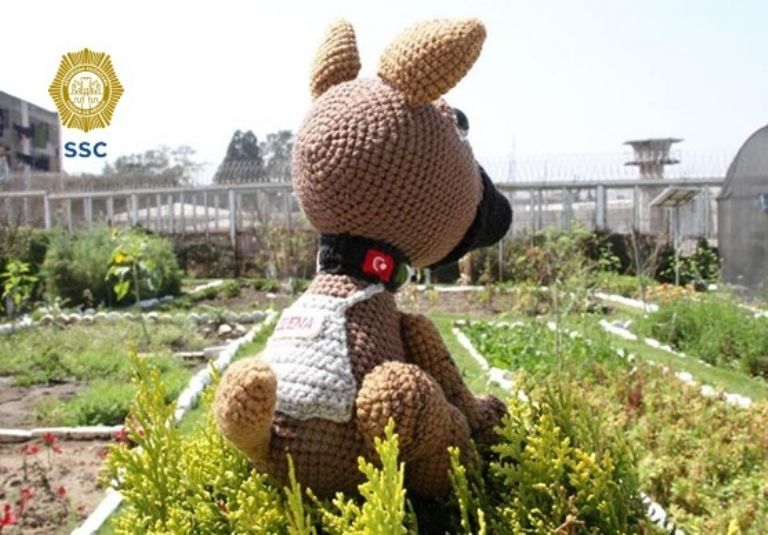 Figura de Proteo en Santa Martha