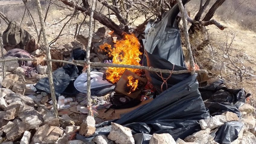 Golpe al narco en Sonora: GN y Ejército desmantelan campamentos clandestinos; capturan a 2