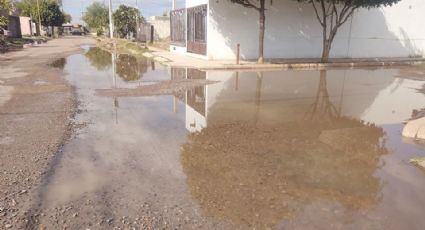 Ciudad Obregón: Aguas negras invaden ahora en la colonia Las Haciendas