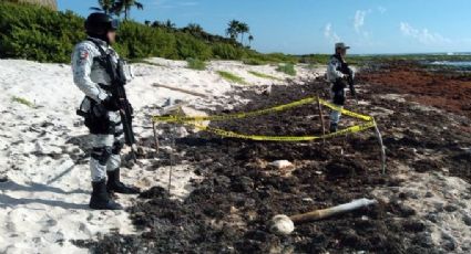 Guardia Nacional asegura droga escondida entre el sargazo de una playa en Tulum