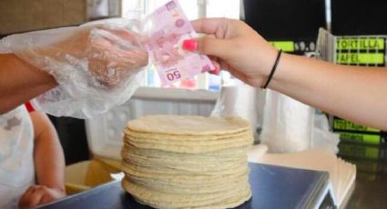 ¿Dieta forzosa? Kilo de tortilla 'dispara' su precio; así se vende en la CDMX y otras ciudades