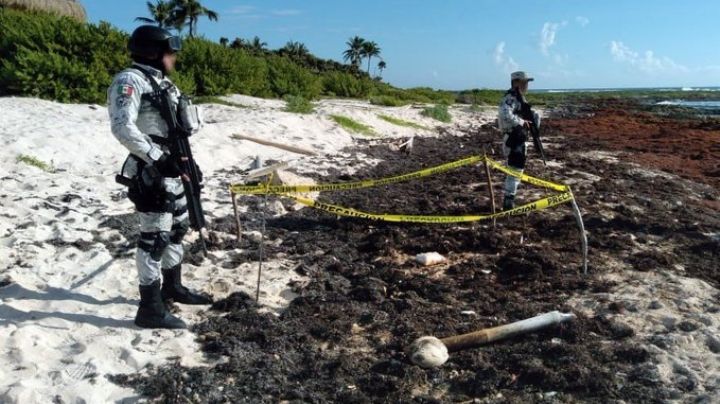 Guardia Nacional asegura droga escondida entre el sargazo de una playa en Tulum