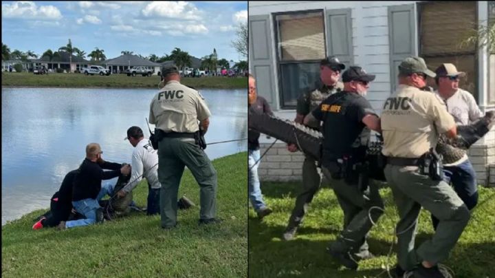 EU: Mujer intenta salvar a su perro de las fauces de un caimán; el cachorro sobrevive pero ella no