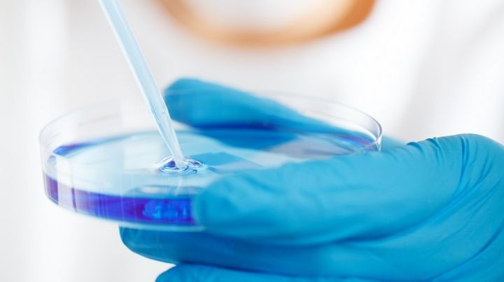 Hallan el cuerpo de una sirena en Japón; tras rigurosa investigación descifran qué es en realidad