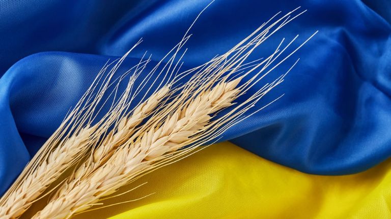 El trigo subió su precio tras el estallido de la Guerra entre Ucrania y Rusia. Foto: Internet