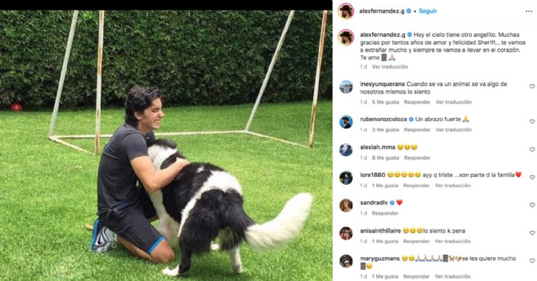 Instagram @alexfernandez.g