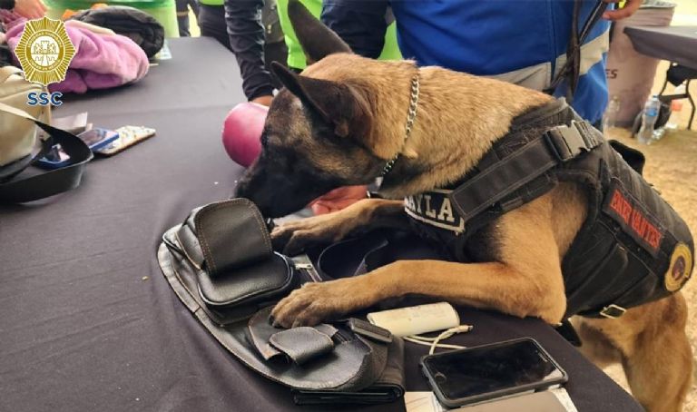 Operativo de seguridad en el EDC 2023