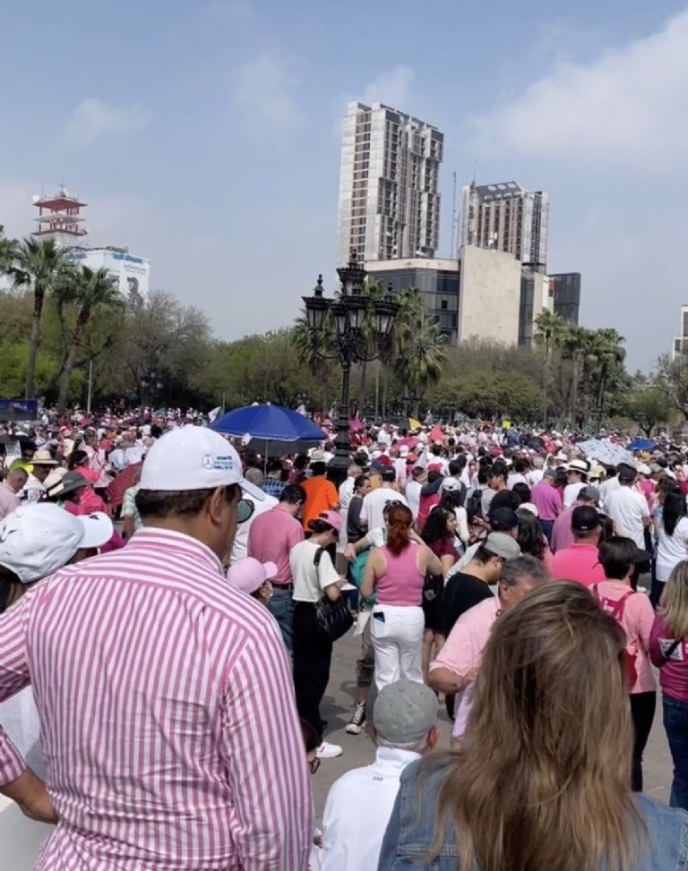 Marcha en Defensa del INE