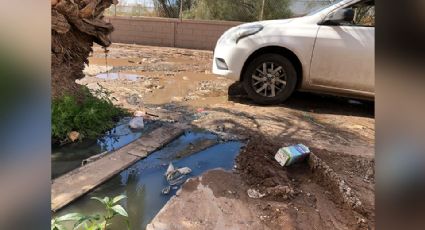 Aguas negras y varios drenajes colapsados; problema de antaño en la colonia Nuevo Cajeme