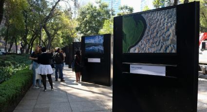 Con exposición en Paseo de la Reforma destacan la lucha para proteger al ambiente en CDMX