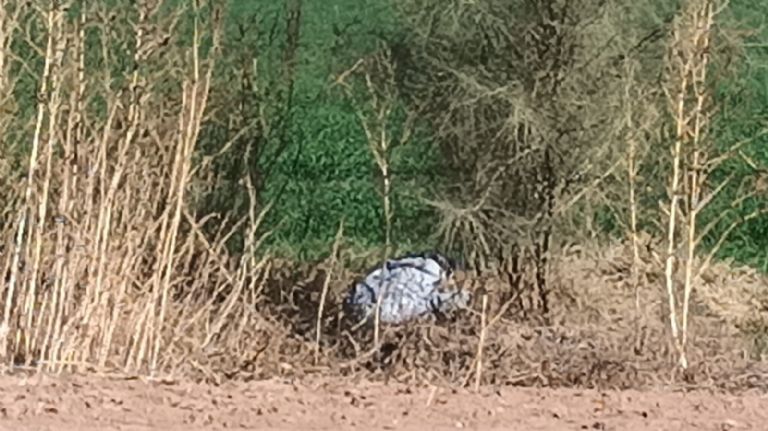 Identifican cadáver hallado en el Valle del Yaqui. Foto: Facebook