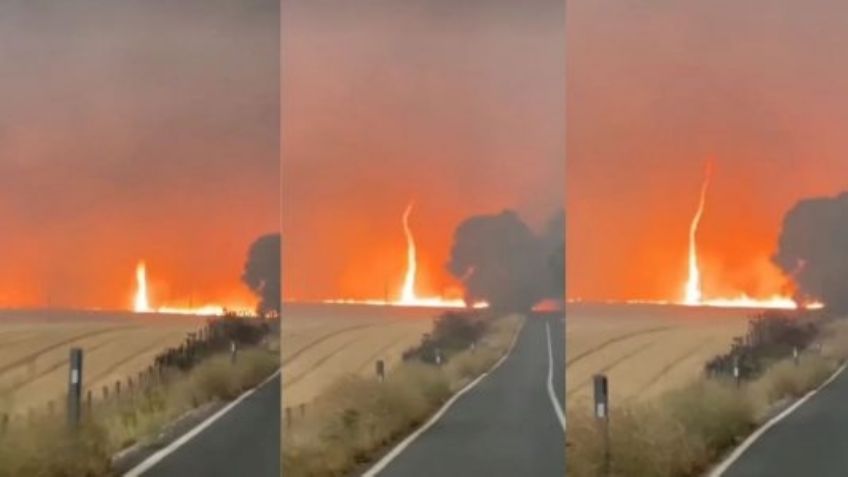 (VIDEO) Captan impresionante remolino de fuego en Chile; incendios consumen al sur del país