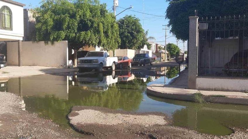 Algo huele mal en el municipio de Cajeme: Abundan drenajes colapsados en el sur de Sonora
