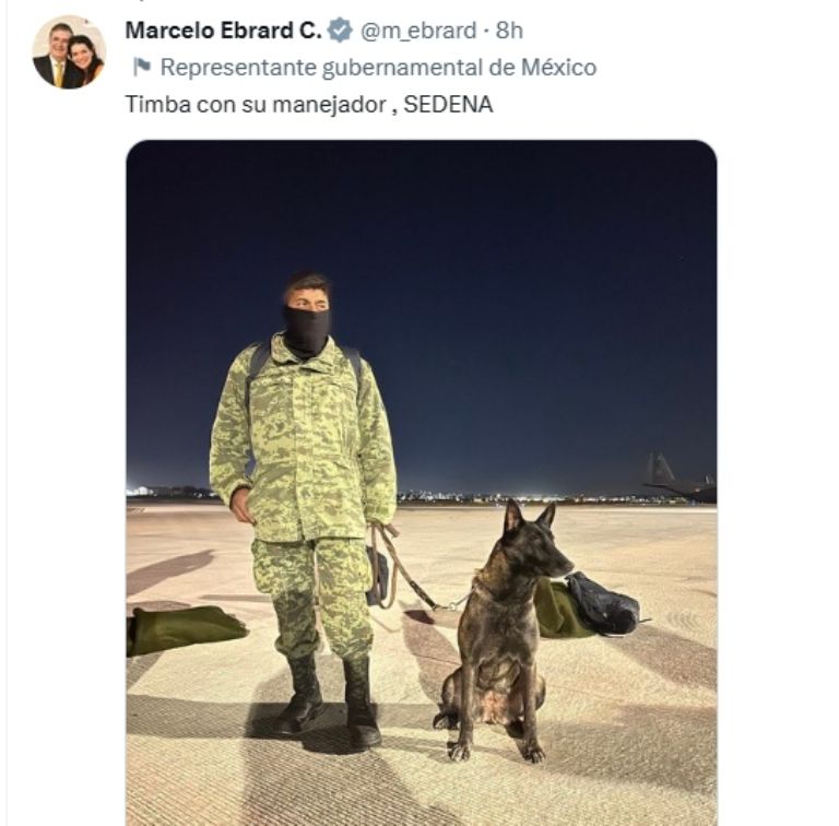 'Perritos' rescatistas viajan a Turquía. Foto: SRE