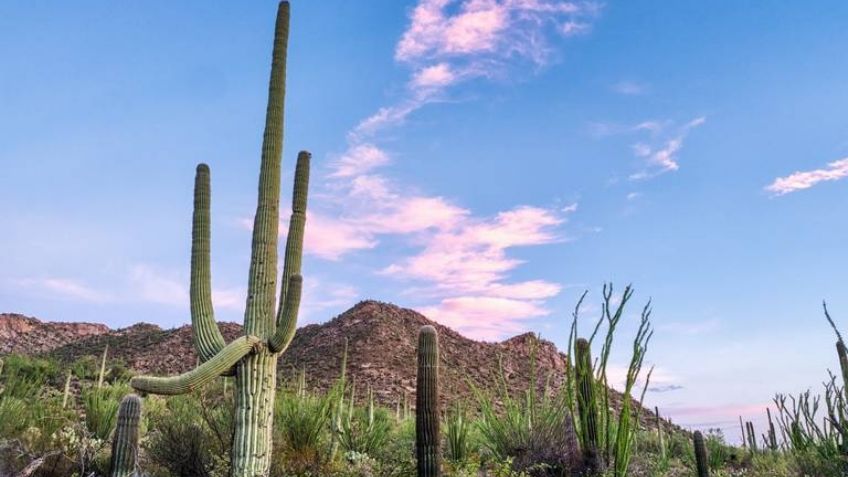 Frente Frío: Conagua comparte el pronóstico del clima para Sonora hoy martes 7 de febrero
