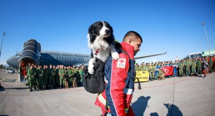 VIDEO: Militares y 'perritos' rescatistas mexicanos llegan a Turquía para ayudar tras terremoto