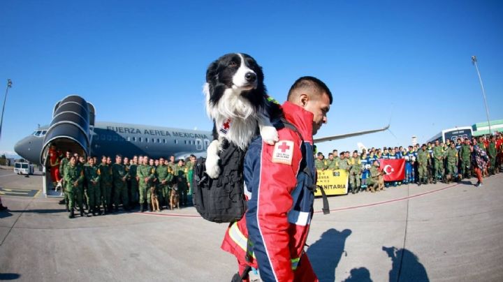 VIDEO: Militares y 'perritos' rescatistas mexicanos llegan a Turquía para ayudar tras terremoto