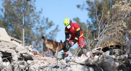SRE: Rescatistas y binomios caninos mexicanos ya laboran en Turquía; no hay connacionales afectados