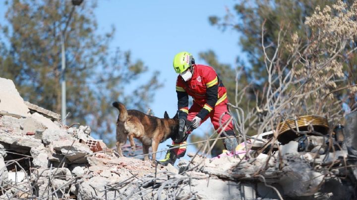 SRE: Rescatistas y binomios caninos mexicanos ya laboran en Turquía; no hay connacionales afectados