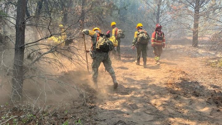 Pese a ayuda de México, incendios en Chile no paran: Decretan toque de queda en zonas afectadas