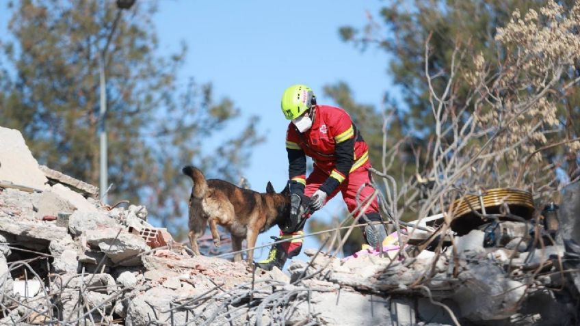 SRE: Rescatistas y binomios caninos mexicanos ya laboran en Turquía; no hay connacionales afectados