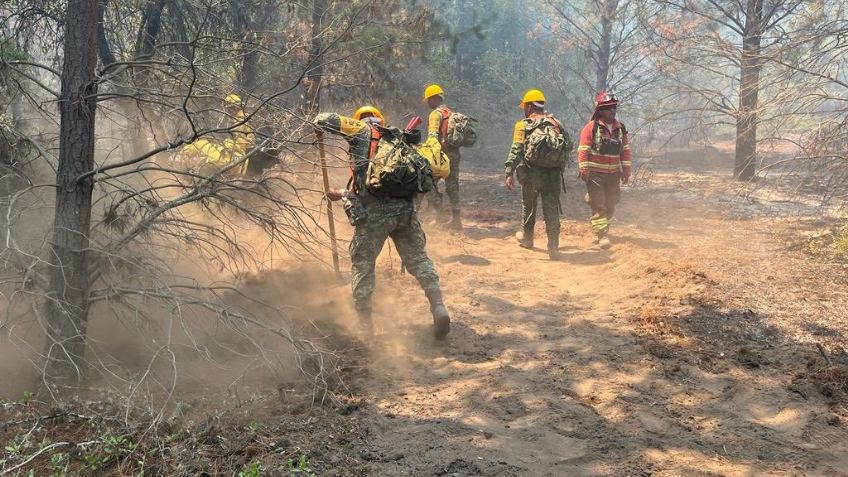 Pese a ayuda de México, incendios en Chile no paran: Decretan toque de queda en zonas afectadas