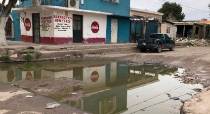 Vecinos de la colonia Cortinas de Cajeme denuncian problema de aguas negras