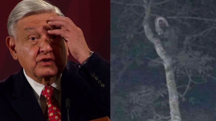 AMLO se defiende: Informará sobre la FOTO del Aluxe; "la vida también es lo místico", dice