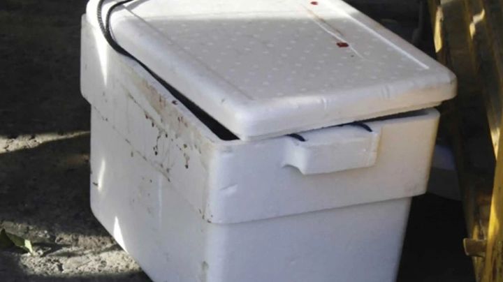 Macabro hallazgo: Localizan hielera con restos humanos en Morelos; tenía una 'narcomanta'