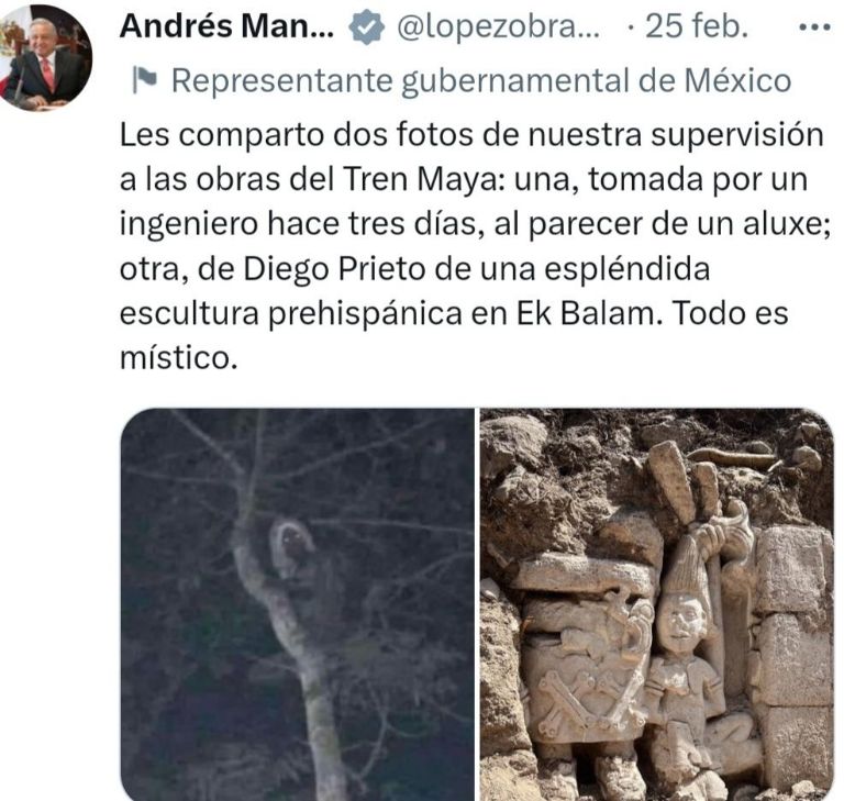 AMLO comparte imagen de supuesto Aluxe. Foto: Twitter