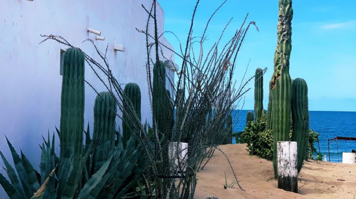 Clima en Sonora hoy viernes 10 de marzo: ¡Alerta! Conagua prevé altas temperaturas este día