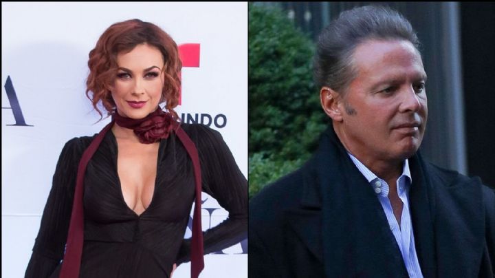¿A la cárcel? Abogado de Aracely Arámbula dice si es verdad que Luis Miguel tiene orden de detención