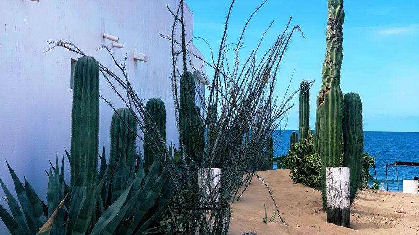 Clima en Sonora hoy viernes 10 de marzo: ¡Alerta! Conagua prevé altas temperaturas este día