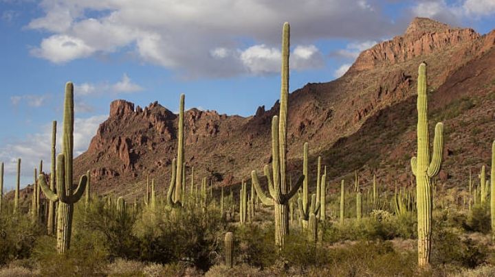 Nuevo Frente Frío en México: Conagua informa cuál será el clima en Sonora hoy domingo 12 de marzo