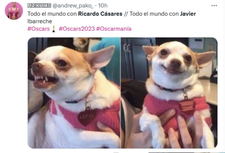 Tunden en redes a Ricardo Casares. Foto: Twitter