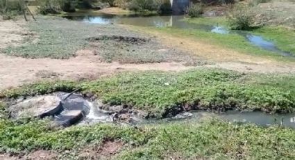 Río Mayo, otra víctima más del drenaje colapsado en Navojoa; la contaminación lo ha afectado