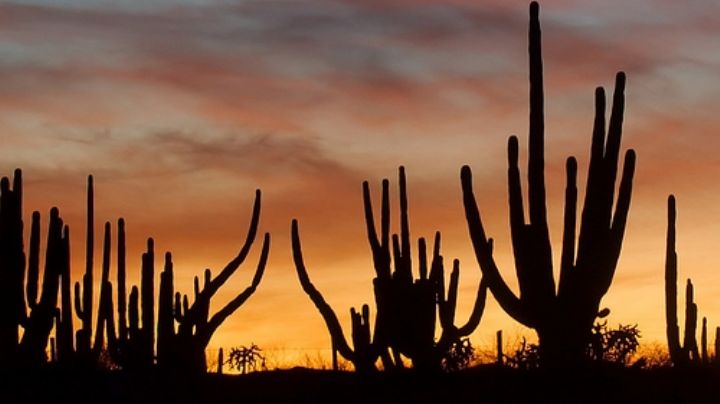 ¿Habrán lluvias en Sonora hoy martes 14 de marzo 2023? Conagua comparte el pronóstico del clima
