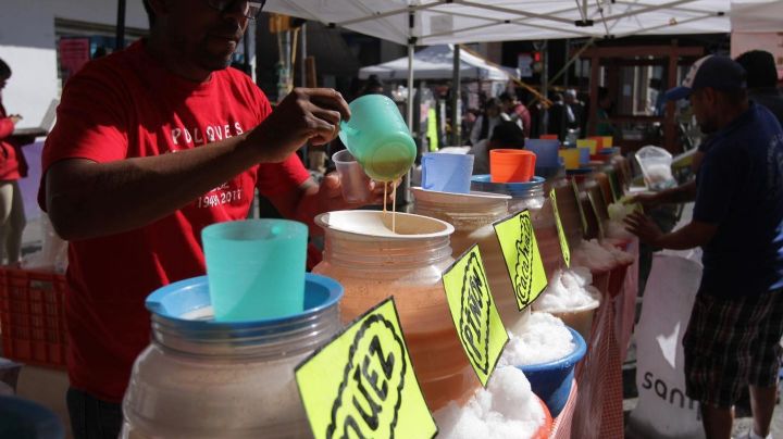 Regresa la bebida de los dioses: Asiste a la Feria del Pulque en Edomex y disfruta tu curado favorito