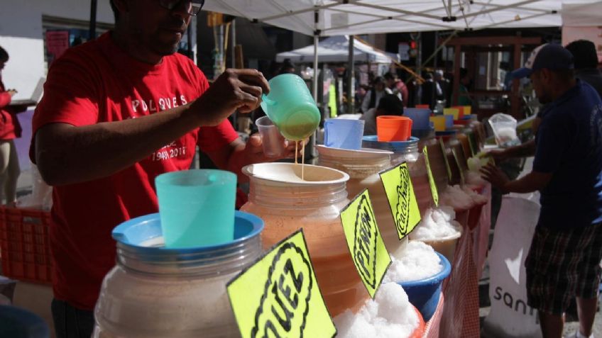 Regresa la bebida de los dioses: Asiste a la Feria del Pulque en Edomex y disfruta tu curado favorito