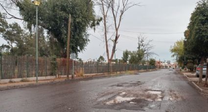 Calle Ostimuri en Ciudad Obregón nuevamente presenta problemas con la carpeta asfáltica