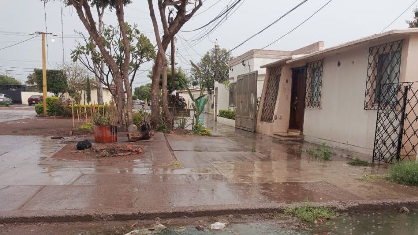 Cajeme: Habitantes de la colonia Fovissste 1 reportan drenaje colapsado desde hace varios meses