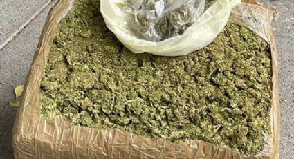 ¡Cayó el dealer! Detienen a 3 con más de 200 dosis de marihuana en la alcaldía Cuauhtémoc, en CDMX