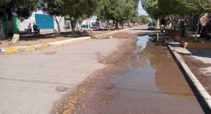 Vecinos de la colonia Benito Juárez en Ciudad Obregón reportan drenajes colapsados desde el año pasado