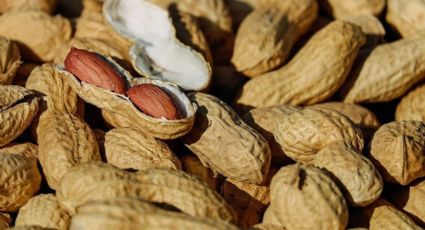 ¿Cómo evitar que tu hijo desarrolle alergia a los cacahuates? Esto responden los expertos