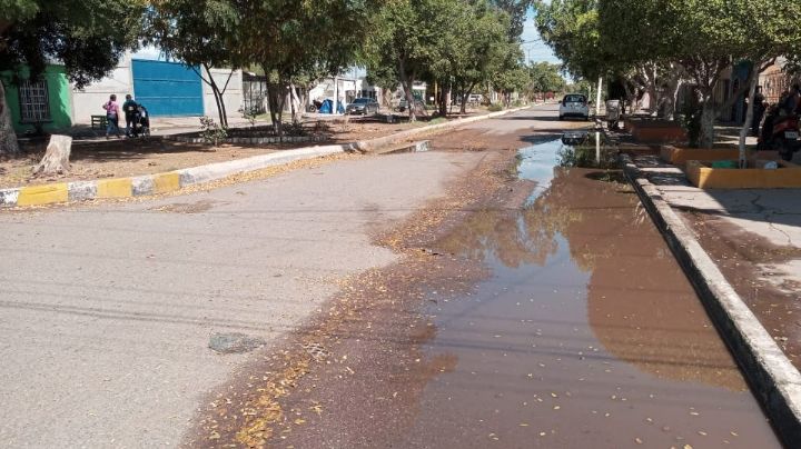 Vecinos de la colonia Benito Juárez en Ciudad Obregón reportan drenajes colapsados desde el año pasado