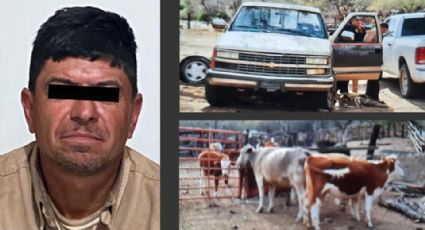 Capturan en Sonora a Miguel Juberto por robo de ganado; extrajo a los animales de un rancho